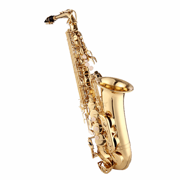 A60 Alto Saxophone - E♭ Tuned Brass Sax for Beginners & Performances